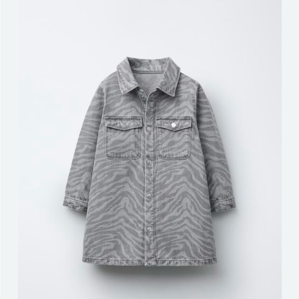 Zara Gray Zebra Print Jacket